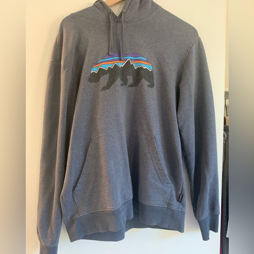 Men’s Patagonia hoodie size small